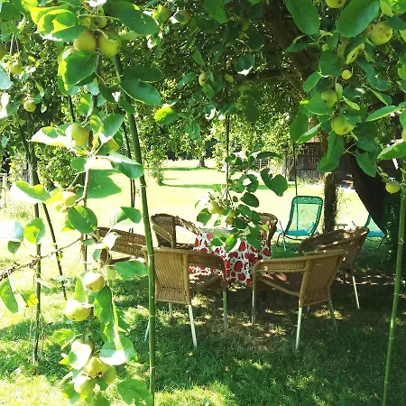 Bed & Breakfast Del Campo